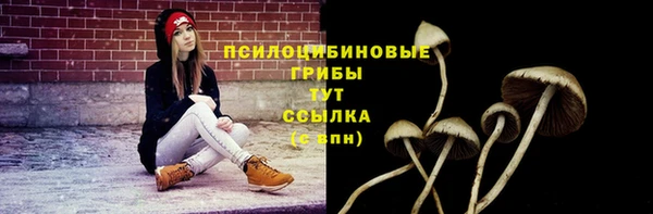не бодяженный Арсеньев